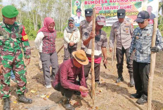 Polsek Indralaya dan Warga Tanjung Agung Tanam Jagung Dukung Ketahanan Pangan