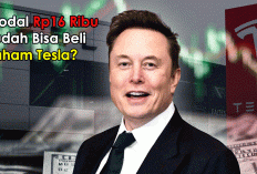 Modal Rp16 Ribu Sudah Bisa Beli Saham Tesla? Bedah Gotrade Indonesia yang Lagi Ramai Diburu Investor