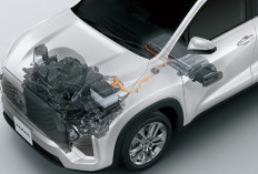 Perbedaan Harga Toyota Kijang Innova Zenix di Berbagai Negara: Thailand dan India Bikin Melongo!