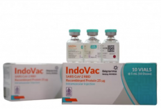 IndoVac  Produksi Bio Farma Kantongi Izin Edar BPOM