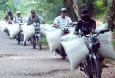 Petani Kesulitan Persyaratan Bulog, Tengkulak Lampung Datangi OKI