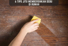 6 Tips Jitu Membersihkan Debu di Rumah