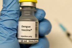 Seputar Vaksin Dengue, Efektivitas hingga Efek Sampingnya