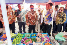 Tomat dan Cabai Rawit Sumbang Deflasi, Ini Saran Mendagri dan Mentan Bagi Pemda