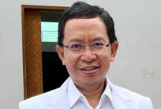 Sebaiknya Jangan Dikonsumsi, Sampai Jelas Penyebab Ikan-Udang Mabuk