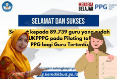 Dirjen Nunuk Sebut 87.920 Peserta Lulus PPG, Ini Besaran TPG yang Bakal Diterima