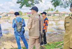 BKSDA Sumsel Bakal Pasang Plang Hati-Hati  Beraktivitas, Terkait Kemunculan Buaya