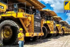 Lowongan Kerja PT Pamapersada Nusantara, Pendaftaran Ditutup 23 Agustus 2025, Jangan Lewatkan!