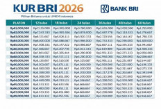KUR BRI 2026 Resmi Dibuka, Simak Skema Kredit, Plafon, dan Syarat Pengajuannya