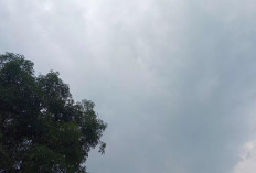 Prakiraan Cuaca Sumsel Kamis, 9 Oktober 2025, BMKG Prediksi Hujan Ringan hingga Sedang Melanda Sebagian Wilaya