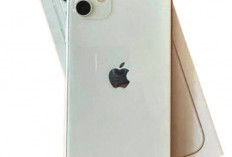 Masih Layak? Ini Kabar Terbaru Soal iPhone 11 di Tahun 2025