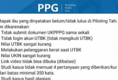 12 Ribu Peserta Piloting 2 Gagal Lulus PPG, Ini 10 Penyebabnya, Peserta Tahap 3 Harus Cek