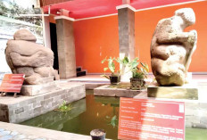 8.600 Koleksi Hibah Masyarakat, Museum Negeri Sumsel Tingkatkan Kunjungan lewat Sosialisasi-Edukasi