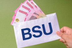 Sudah Masuk Rekening? Ini Cara Cek BSU 2025 untuk Pekerja Terdaftar