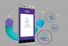 Cara Mendapatkan Update Promo OVO, Dompet Digital Trending di Indonesia