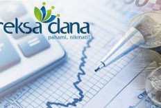 Reksa Dana Pasar Uang 2026: Aman untuk Pemula, Tetapi Return Masih Diperdebatkan