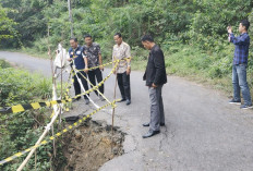 Penanganan Longsor di Semende, BPBD Muara Enim Lakukan Hal Ini