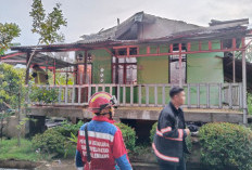 DAMKAR Bergerak Cepat! Kebakaran di Talang Kelapa Berhasil Dijinakkan Tepat Waktu