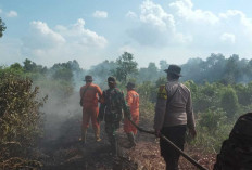 Meluas, Sudah 12 Daerah Terjadi Karhutla, Tambah 2 Heli Water Bombing untuk Sumsel