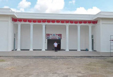 UNIk, Kantor Desa di Kabupaten Ini Mirip Istana Negara, Dibangun dengan Dana Pribadi Kades!