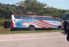 7 Orang Meninggal Dunia dari Bus PO Rosalia Indah yang Kecelakaan Tunggal di Ruas Jalan Tol, Ini Penyebabnya