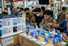 Layar Melengkung Harga Menikung: HP 5G 3 Jutaan Paling Dicari di 2026!