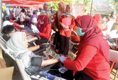 Terjun di Aksi Gerakan Donor Darah, DPW Imatelki Sumsel Unjuk Gigi Bentuk Kepedulian Terhadap Sesama