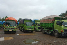 Langgar Instruksi Gubernur Sumsel, Kandangkan 40 Truk Angkutan Batu Bara Over Loading ke Terminal Lubuklinggau