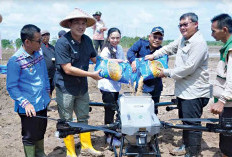 Dorong Produksi Padi, Tanam Pakai Drone