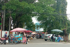 Jalan Soak Bato Dilegendakan dari Khasiat Kolam Kecil di Palembang, Simak Kisahnya