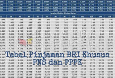PENGUMUMAN: Bank BRI Beri Pinjaman Khusus Guru PNS dan PPPK dengan Bunga Rendah, Ini Tabel Angsurannya