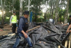 Aksi Tegas Kapolsek: Penggerebekan Arena Sabung Ayam di Lempuing Jaya, Ini Reaksi Salah Satu Kades!