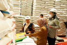 Monitoring Ketersediaan Stok dan Pangan