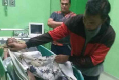 Pemuda di Lubulinggau Diduga Akhir Hidup dengan Bakar Diri, Ini Penyebabnya