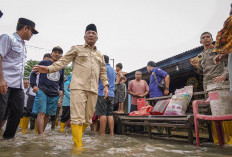 Ratusan KK Terendam, Capai Sepinggang Orang Dewasa: Pj Bupati Muba Bersama Tim Tinjau Lokasi Banjir