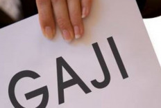 Miris! Gaji 4 Bulan Tak Dibayar, Istri Karyawan RS Sukajadi Ungkap Derita Bayinya