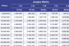 BRI dan Bank BJB Sediakan Pinjaman Digital untuk ASN, Simak Skema Kredit Terbaru Juni 2025
