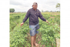 Bisa Jadi Modal Beli Baju Lebaran