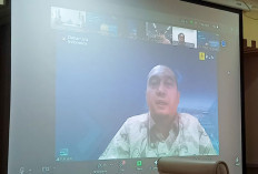 Sudah 18.741 Pelanggan MEP Hijrah ke PLN