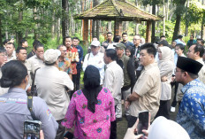 PNBP TWA Punti Kayu Tak Sesuai Target, Ini Rekomendasi Komisi IV DPR RI 