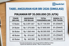 Tabel KUR BRI April 2026: Pinjaman Rp 35 Juta dengan Cicilan Ringan, Solusi Cerdas untuk Modal Usaha