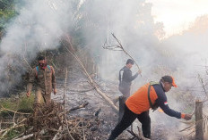 Deteksi Hotspot Ternyata Firespot, Satgas Karhutla Muba Berjibaku Padamkan Kebakaran Lahan di Lima Titik