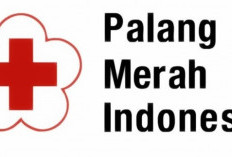 LOKER TERBARU, Palang Merah Indonesia Butuh Pegawai Baru. Pendaftaran Buka Hingga 5 Desember. Daftar Yuk!