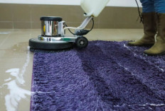 7 Tips Efektif untuk Merawat Karpet di Rumah Anda