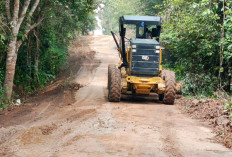 Bupati Toha Perbaiki Jalan Strategis Lawang Wetan