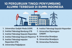10 Perguruan Tinggi Penyumbang Alumni Terbesar di BUMN Indonesia