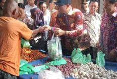 PJ Bupati Banyuasin Sidak Pasar Sukomoro, Ada Temuan Mengejutkan di Balik Peredaran Ikan! 