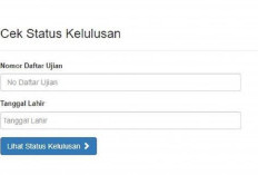 Pengumuman UKPPPG 12 November, Berkaca Dari Tahap 1, Ini Persentase Kelulusan Peserta PPG Guru Tertentu