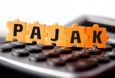 3 Juta Kendaraan Tak Bayar Pajak, Termasuk Mobil Tambang, Gubernur Minta Usai Pemutihan Dilakukan Penertiban