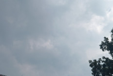 Cuaca Sumsel Selasa 5 Agustus 2025: Waspadai Hujan Petir di Sejumlah Wilayah